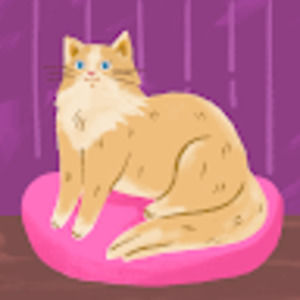 Meet your Posher, Kate